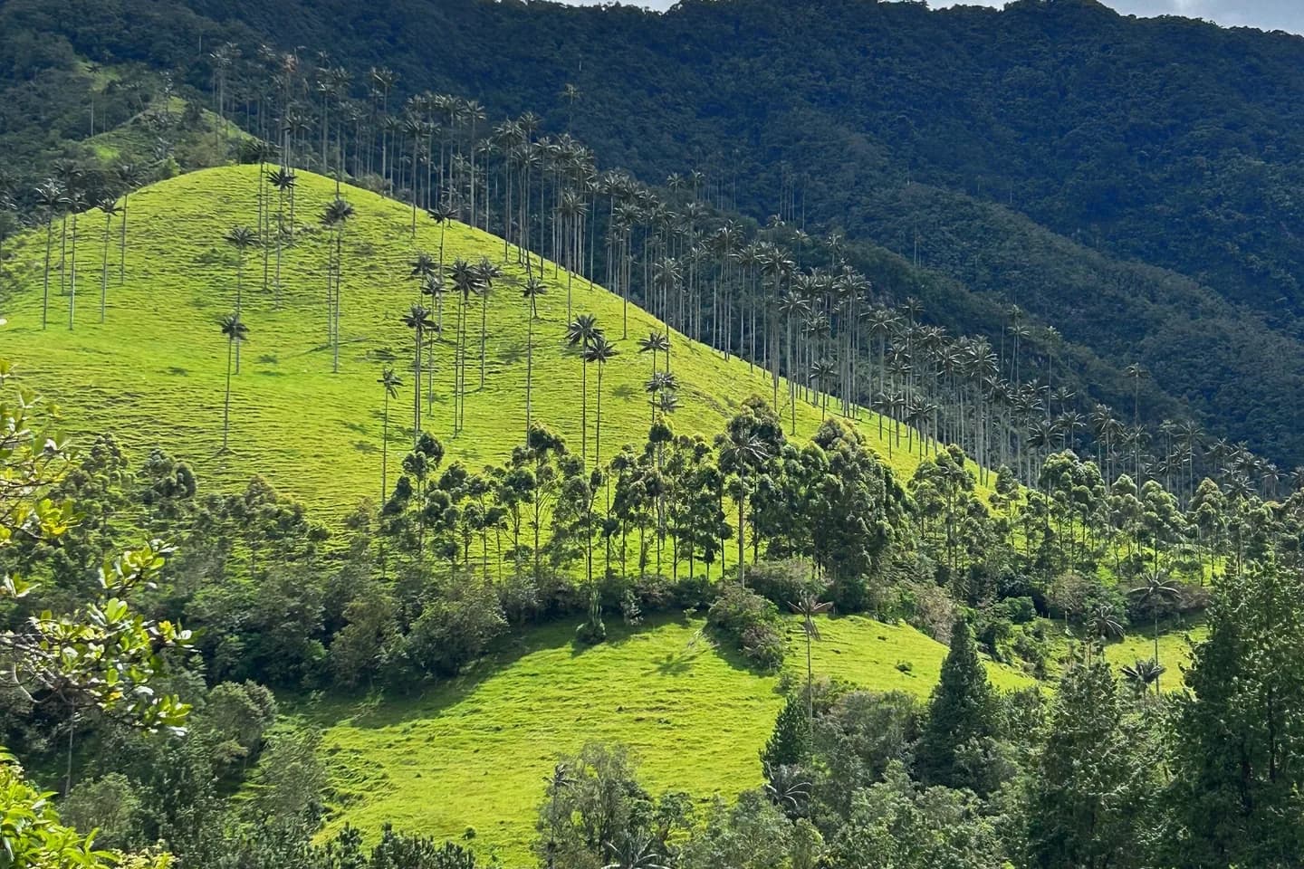 Paisaje colombiano, imagen ilustrativa