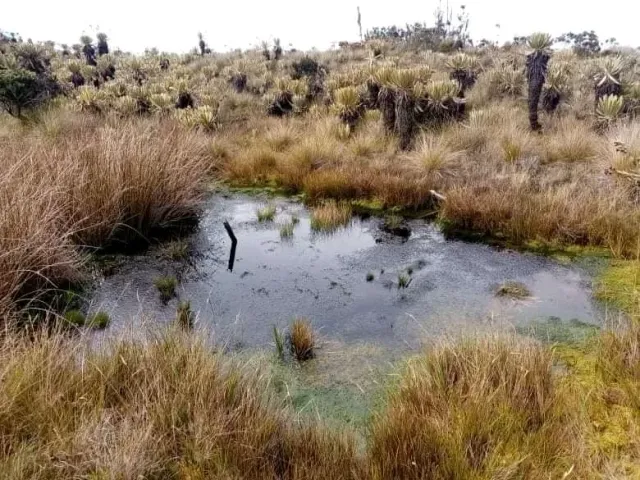 Lago Nudo de Paramillo
