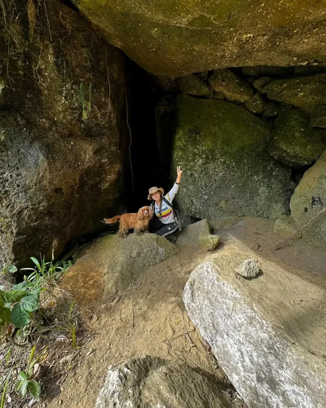 Entrada de una de las Cuevas del Mohán, rodeada de vegetación y terreno natural.
