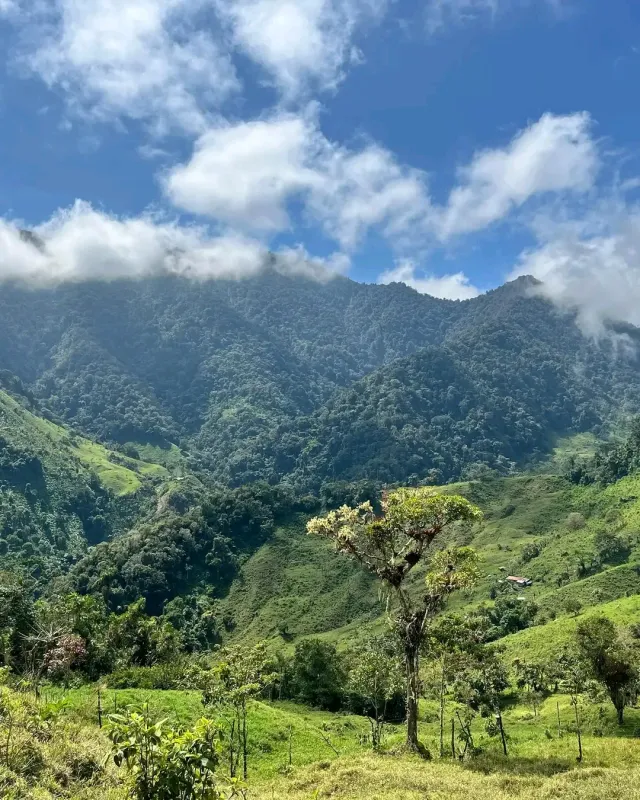 Vista exterior del sector de las Cuevas del Mohán y su entorno natural en Dabeiba.