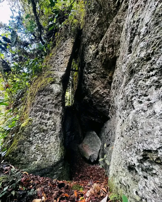 Entrada de una de las Cuevas del Mohán, rodeada de vegetación y terreno natural.