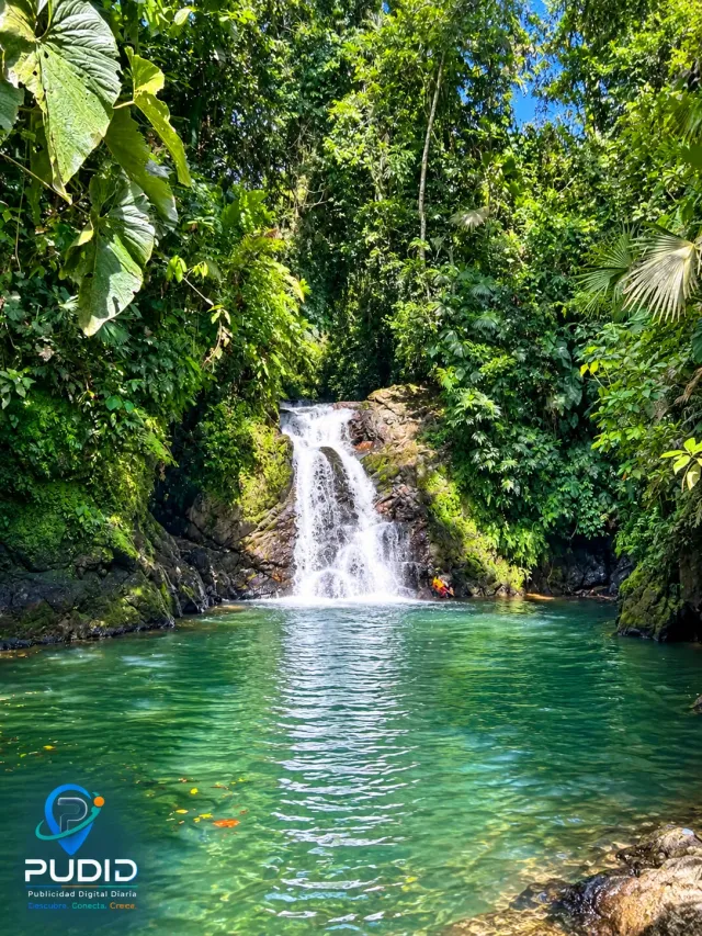 Piscina natural de Chibugá, rodeada por la exuberante vegetación característica de Dabeiba.