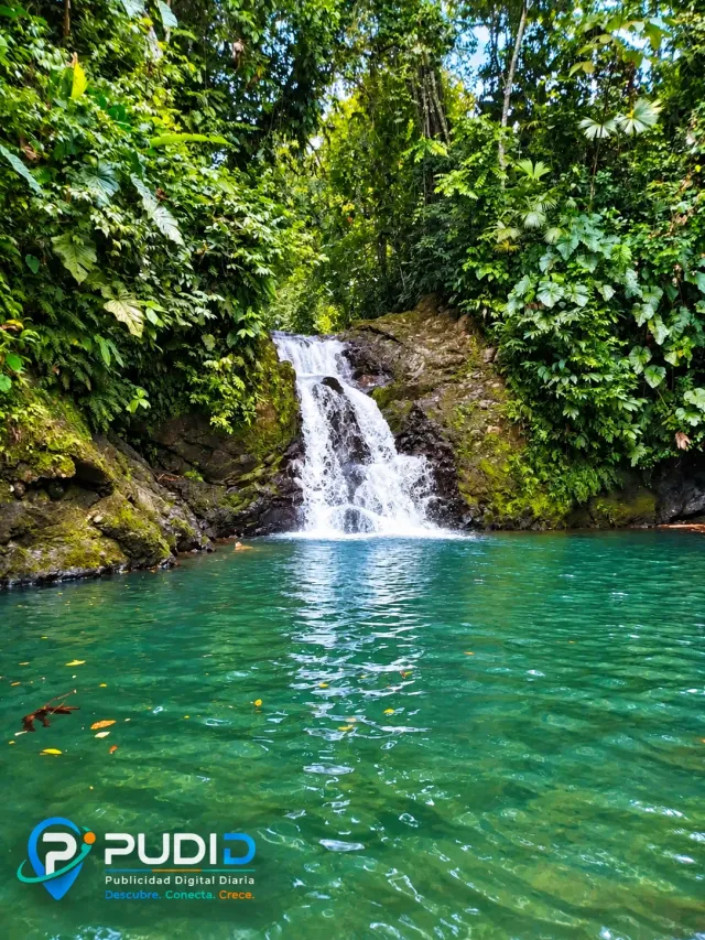 Aguas naturales y paisaje tropical hacen de Chibugá un espacio especial para disfrutar de la naturaleza.