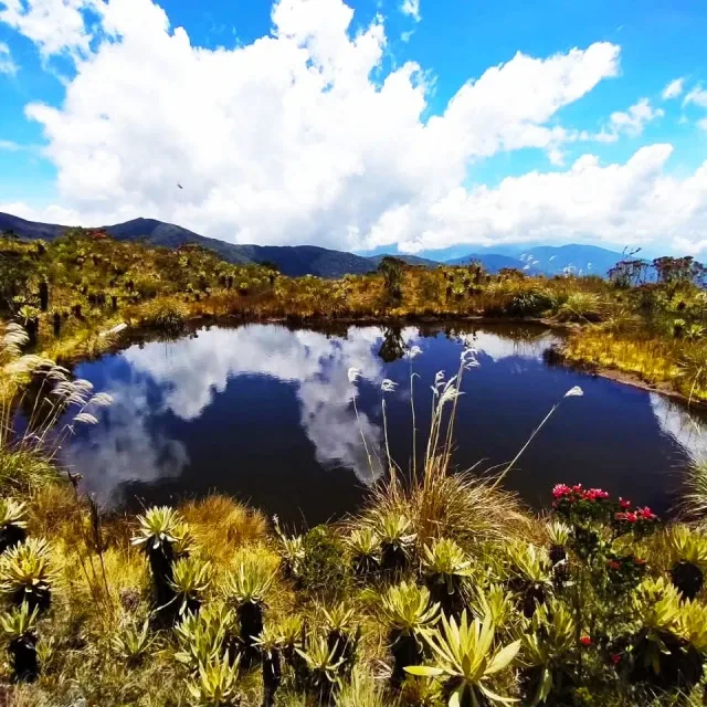 Nudo del Paramillo Dabeiba-Antioquia