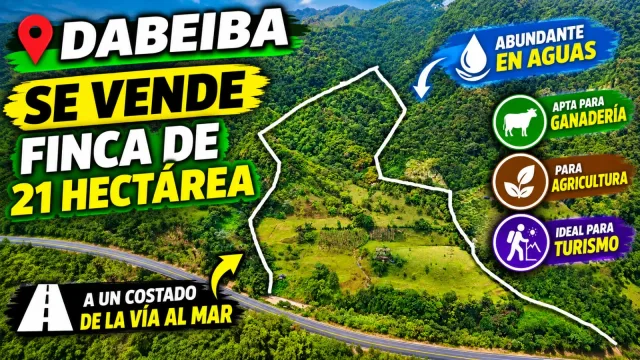 Finca de 21 HECTÁREAS en Dabeiba